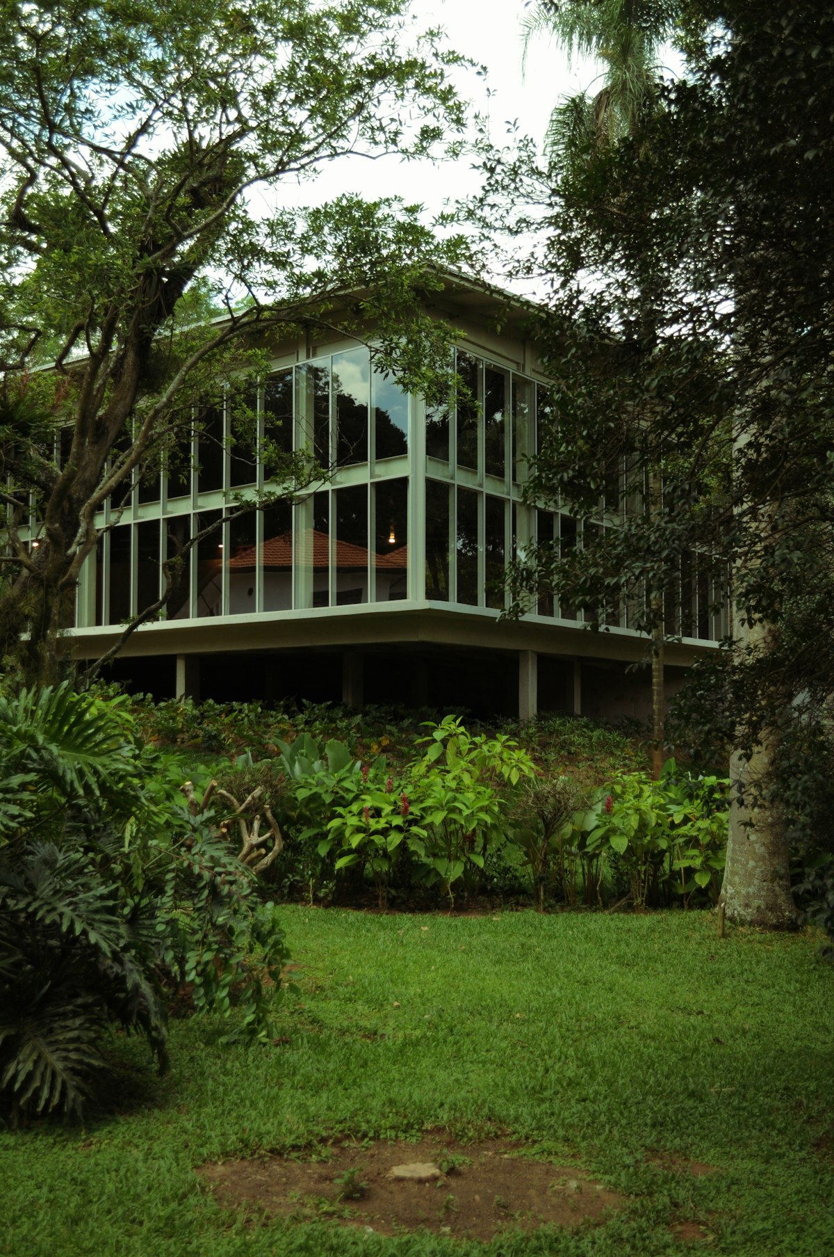 Contemporary home surrounded by Andean vegetation in the interoceanic valley